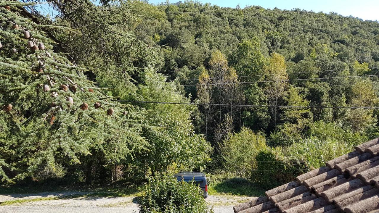 Le Clos Du Cedre Saint-Sebastien  Exterior photo